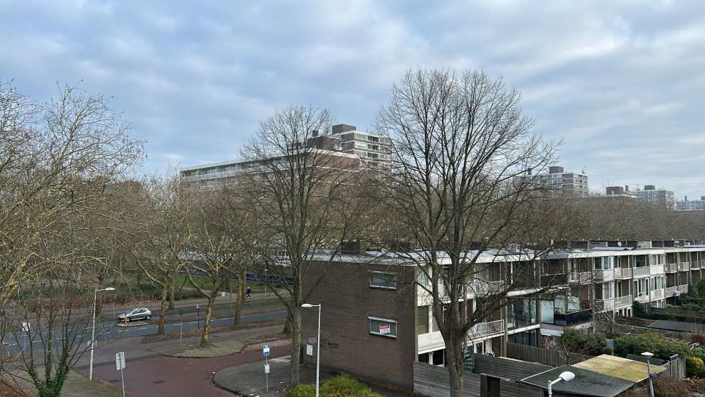 Van Nijenrodeweg 1013