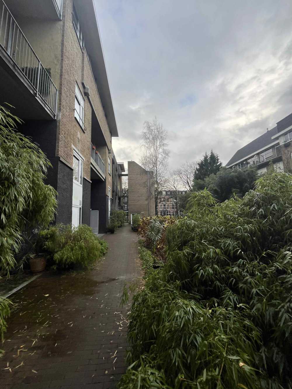 Jeltje de Bosch Kemperpad 160