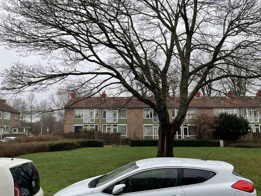 Marianne Philipsstraat 11