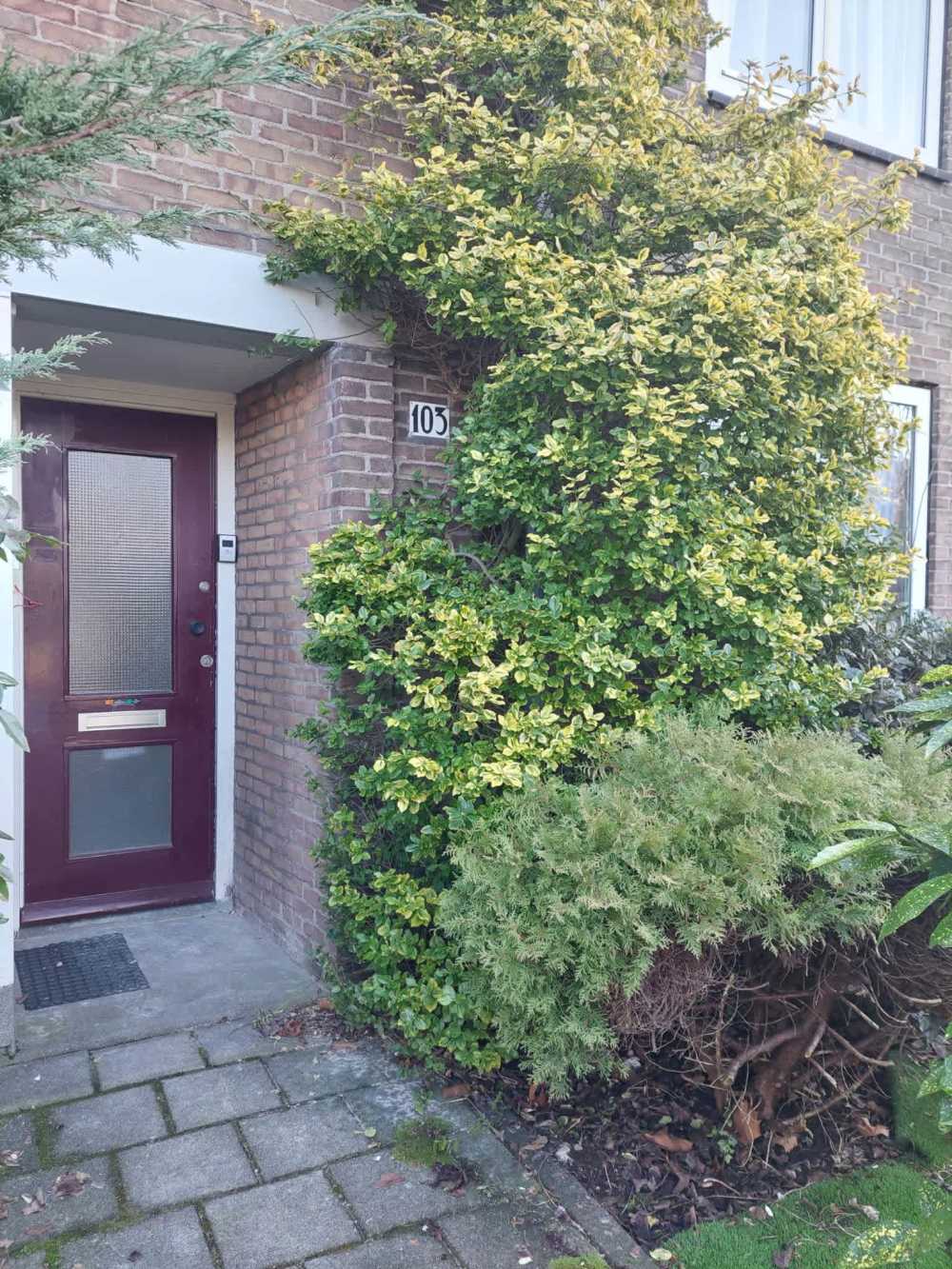 Archimedesplantsoen 103, 1098 JZ Amsterdam, Nederland