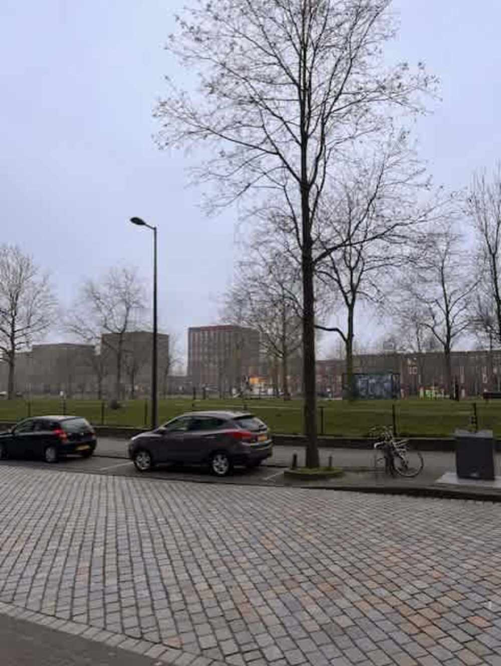 Eva Besnyöstraat 279