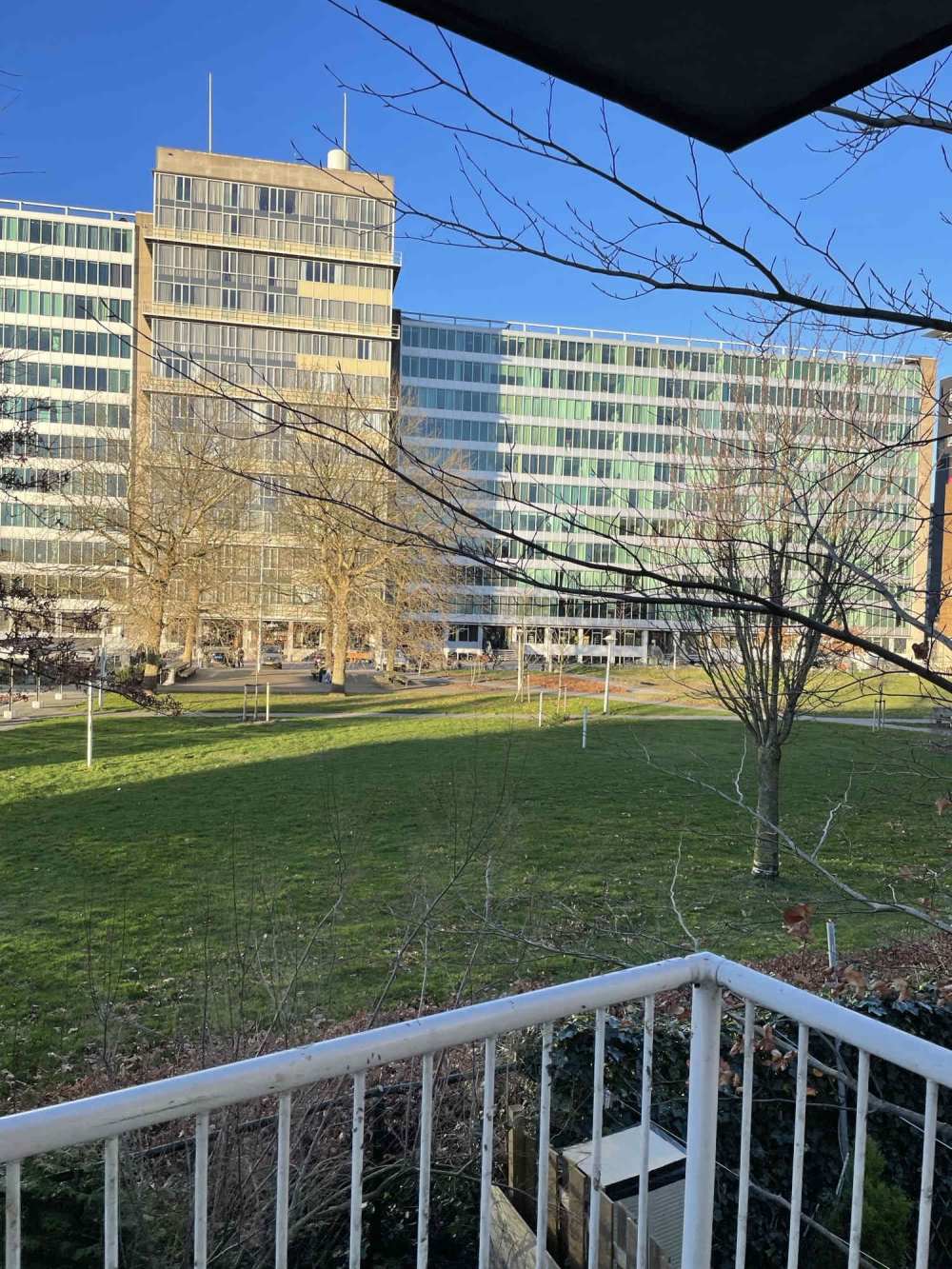 Bos en Lommerplantsoen 28