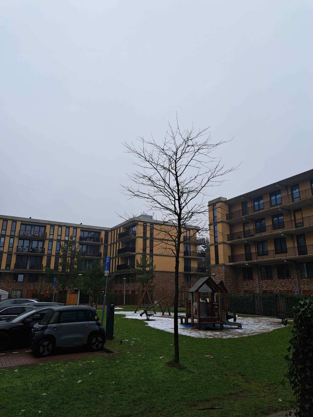 Zilverplevierstraat 11