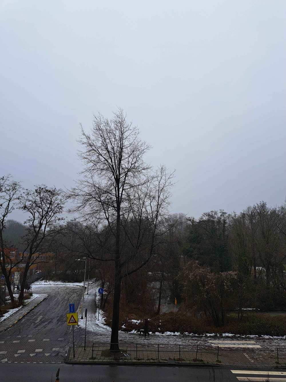 Zilverplevierstraat 11