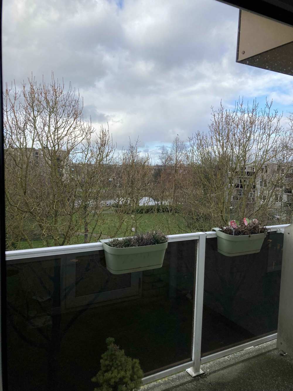 Elsbroekplantsoen 39