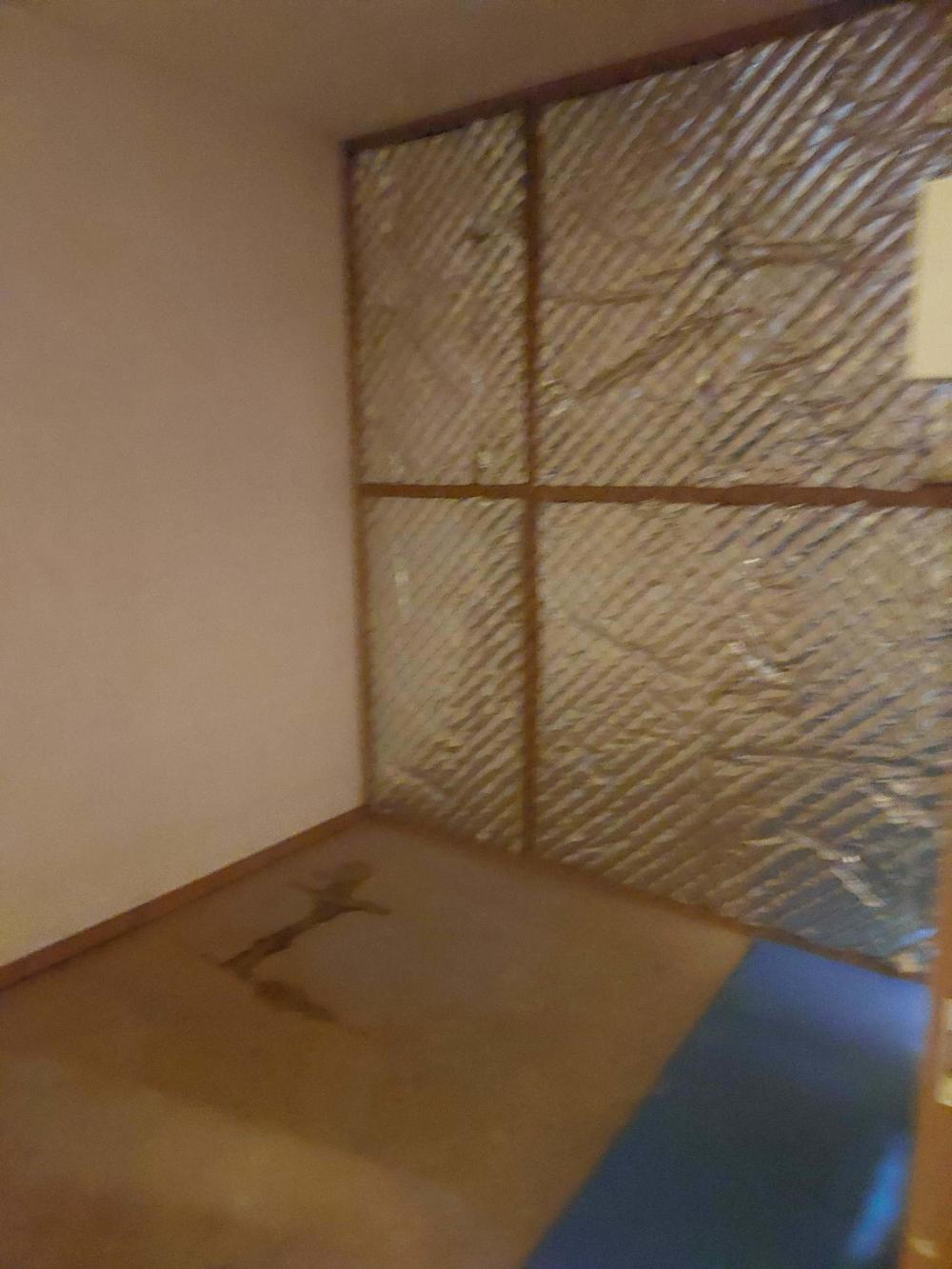 Nova Zemblastraat 519