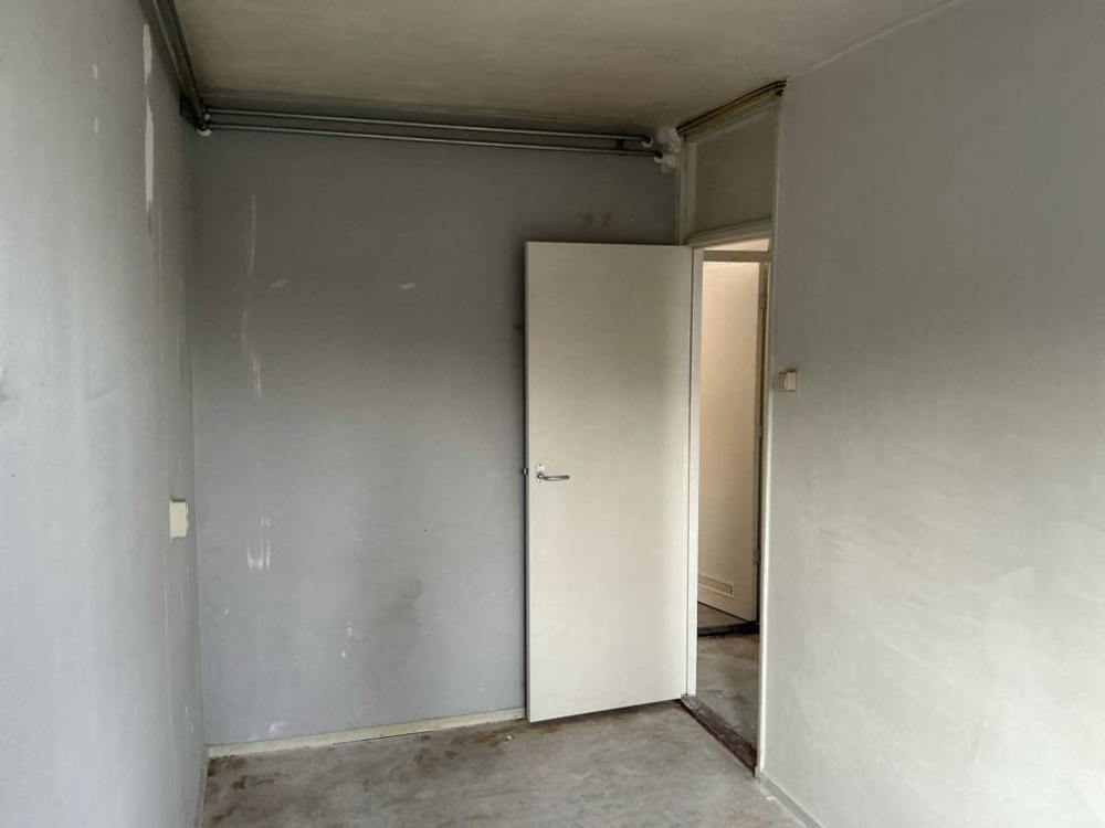 Westelijk Halfrond 41