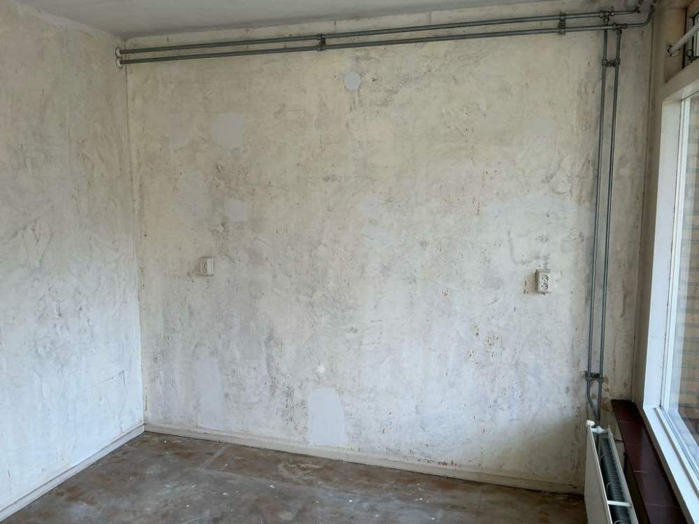 Westelijk Halfrond 41