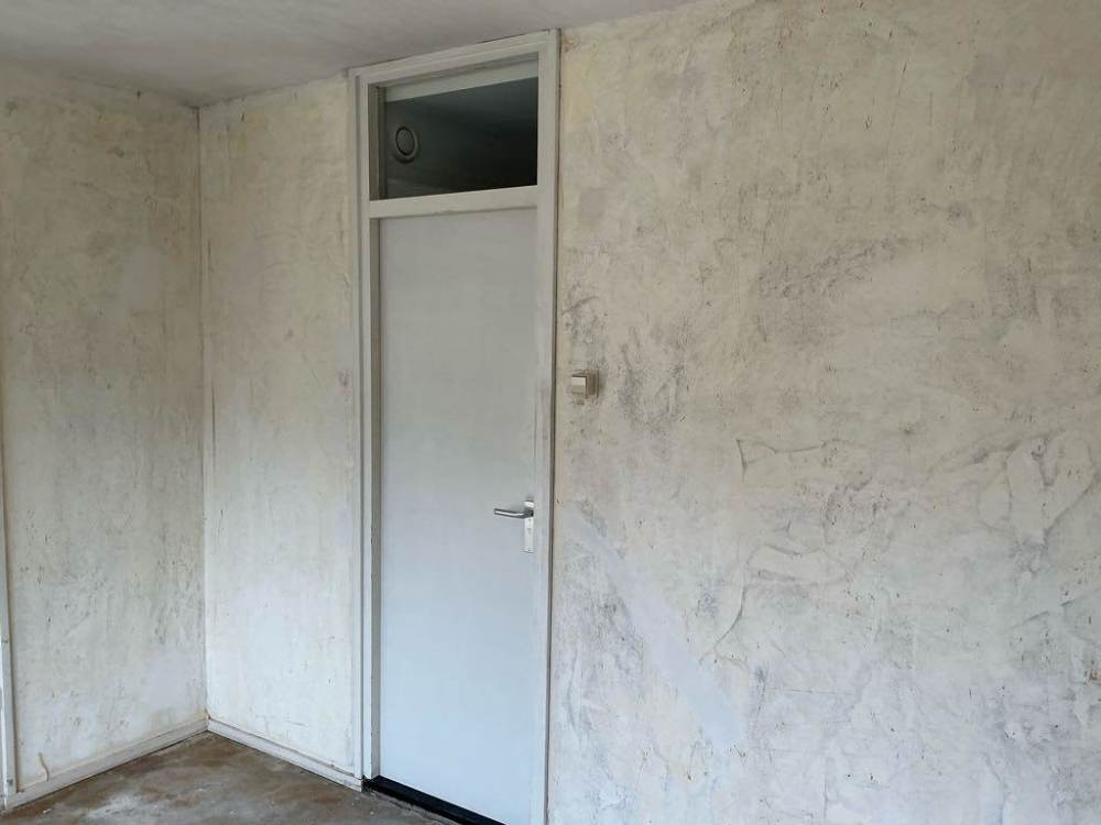 Westelijk Halfrond 41