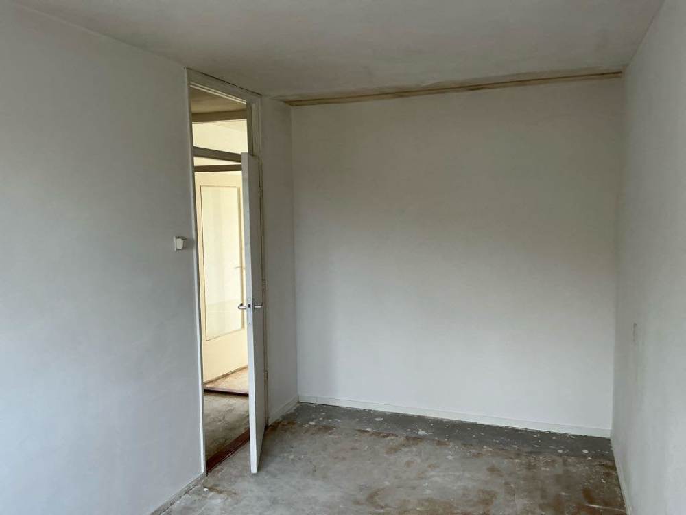 Westelijk Halfrond 41