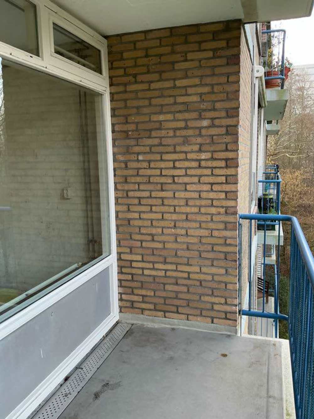 Westelijk Halfrond 41