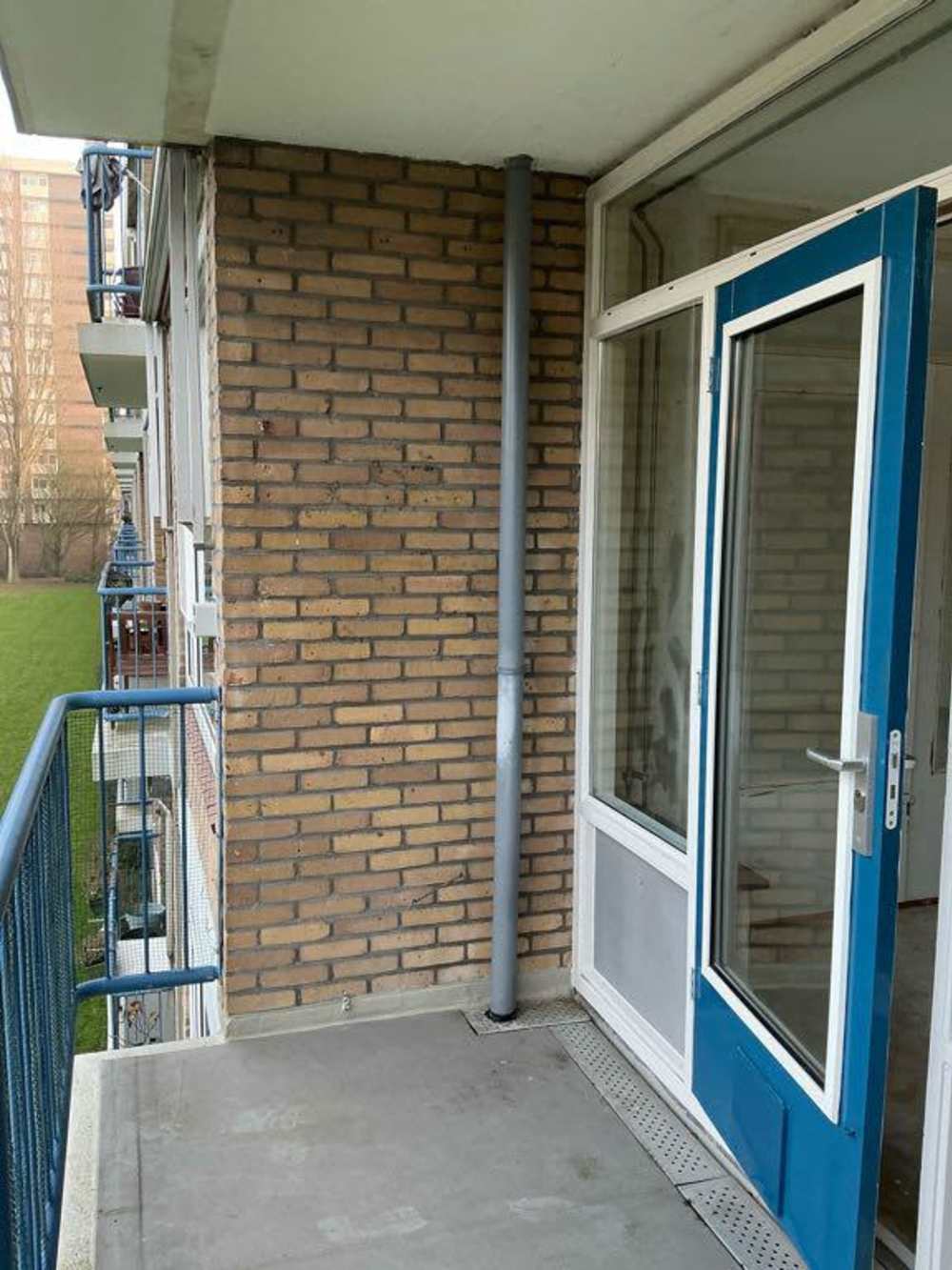 Westelijk Halfrond 41