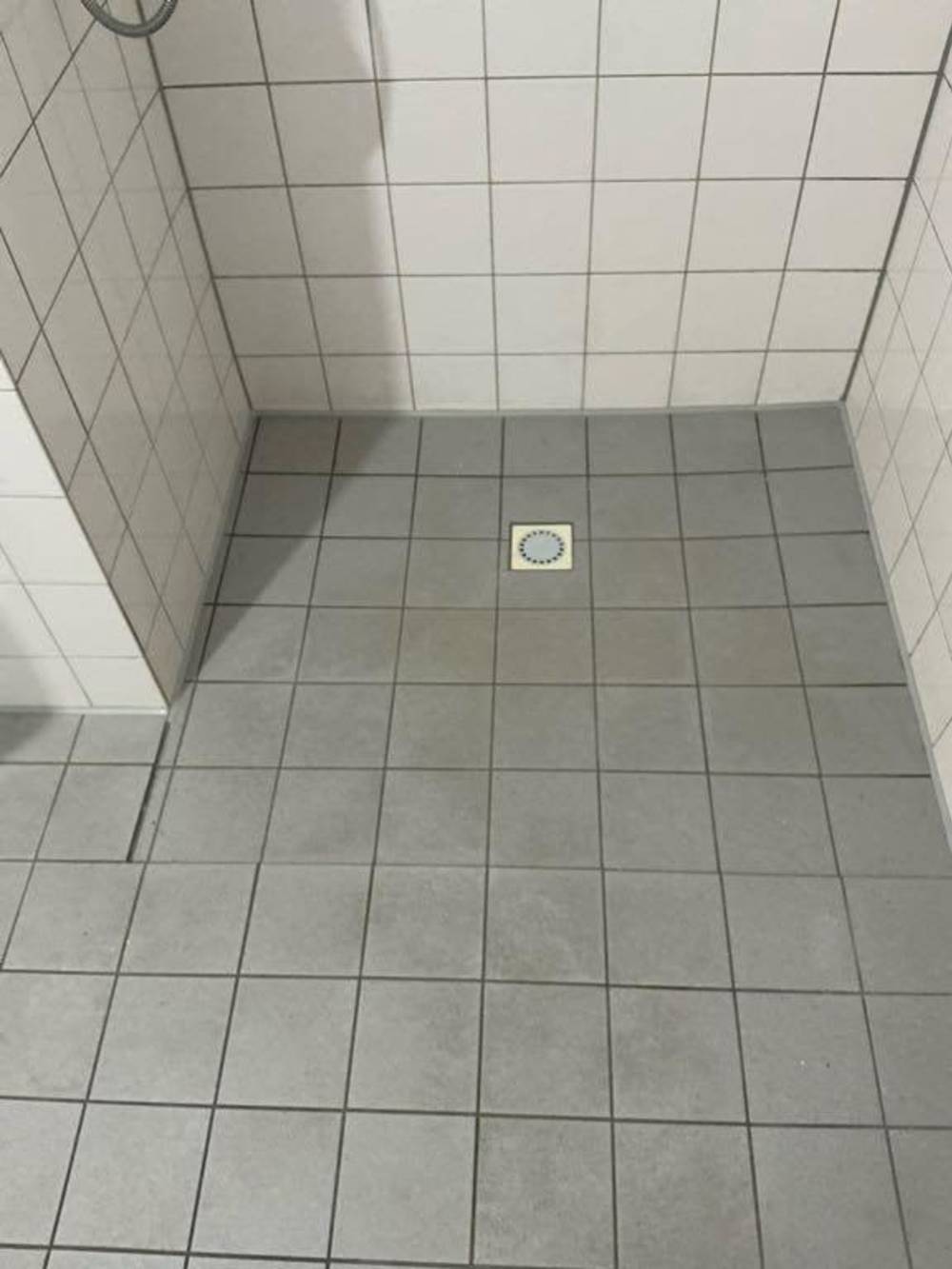 Westelijk Halfrond 41