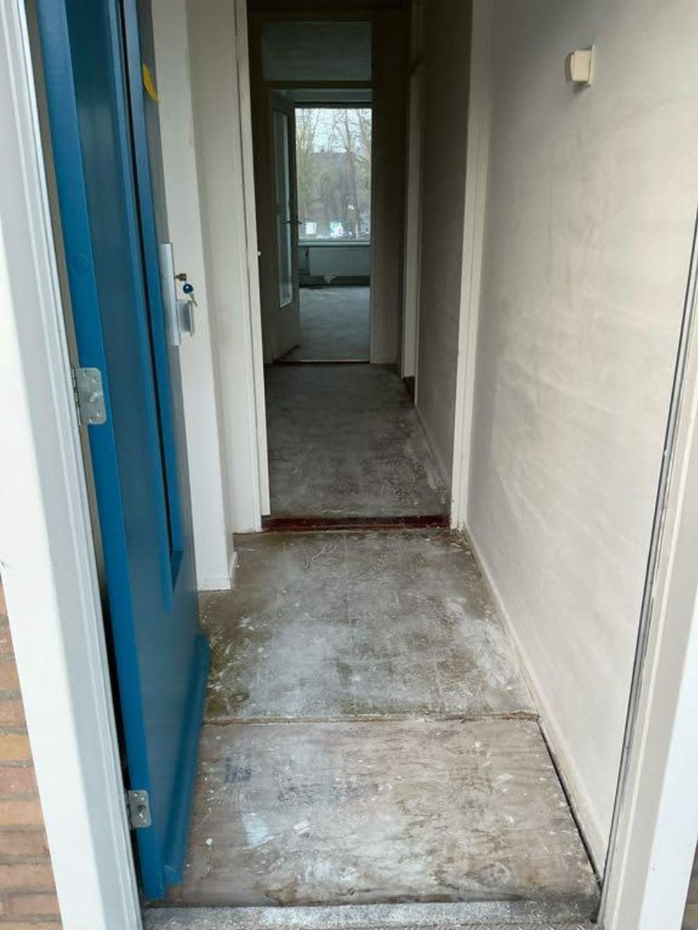 Westelijk Halfrond 41