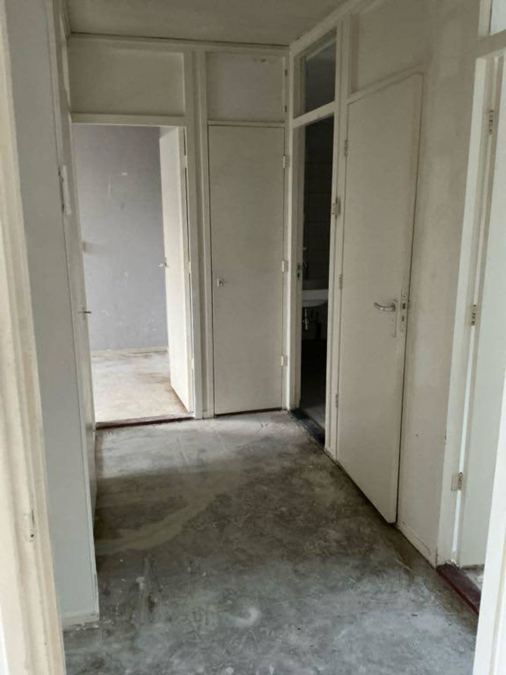 Westelijk Halfrond 41