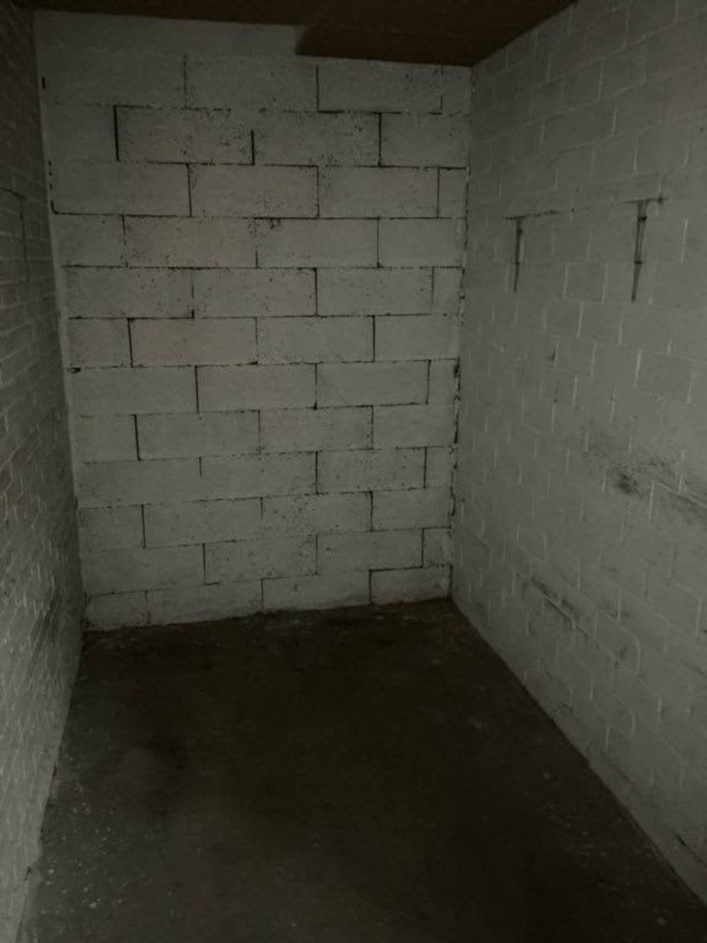 Westelijk Halfrond 41