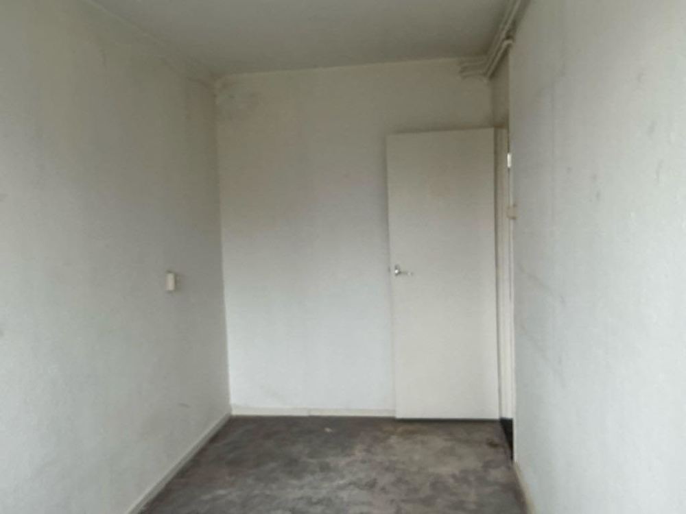 Westelijk Halfrond 59