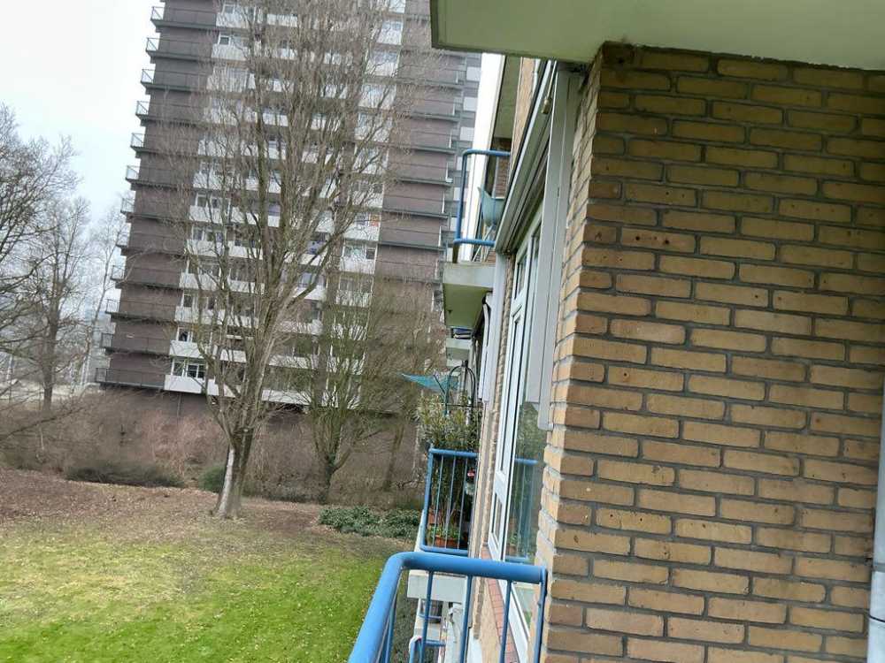 Westelijk Halfrond 59