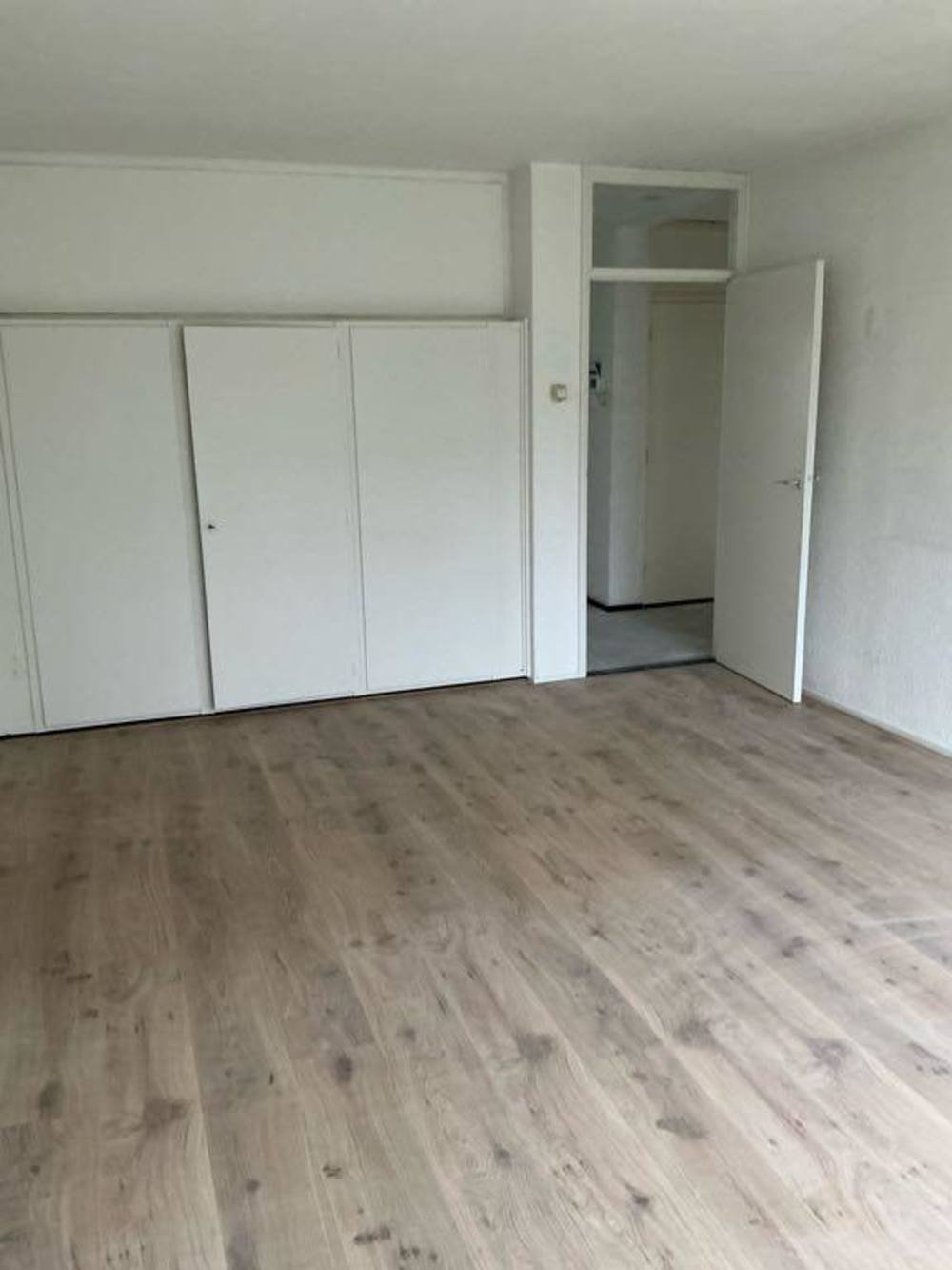 Westelijk Halfrond 59