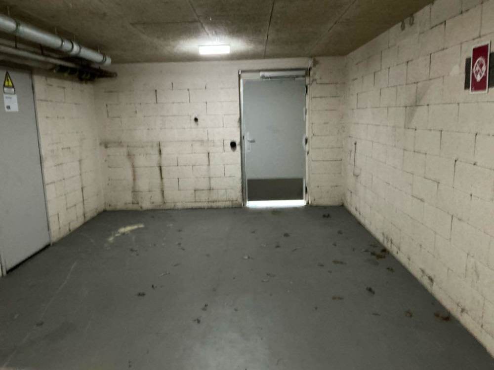 Westelijk Halfrond 59