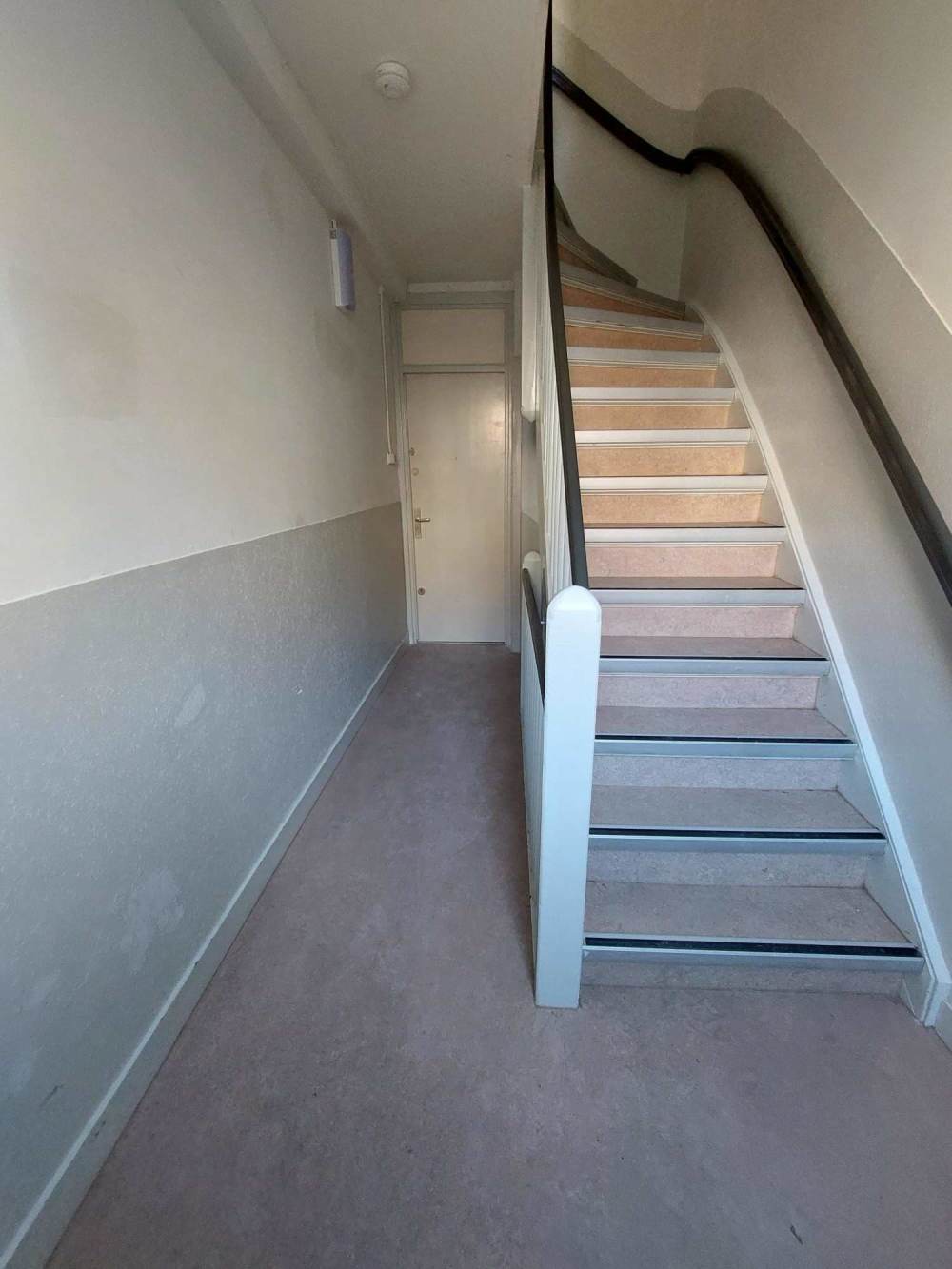 Van Helt Stocadestraat 11