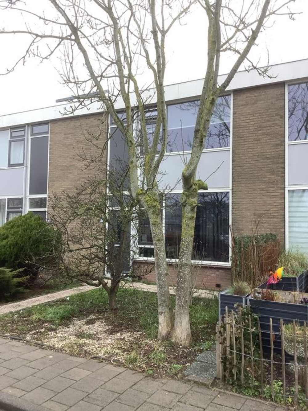 Eksterstraat 4, 2953 EA Alblasserdam, Nederland