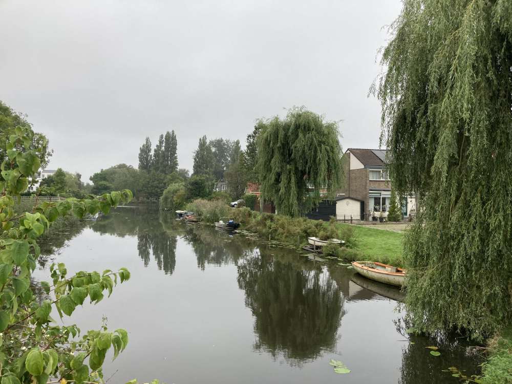 Roodborststraat 8