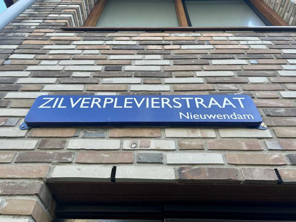 Zilverplevierstraat 47