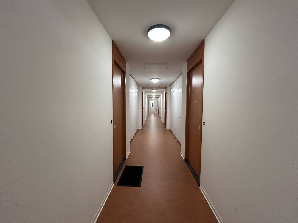 Zilverplevierstraat 47