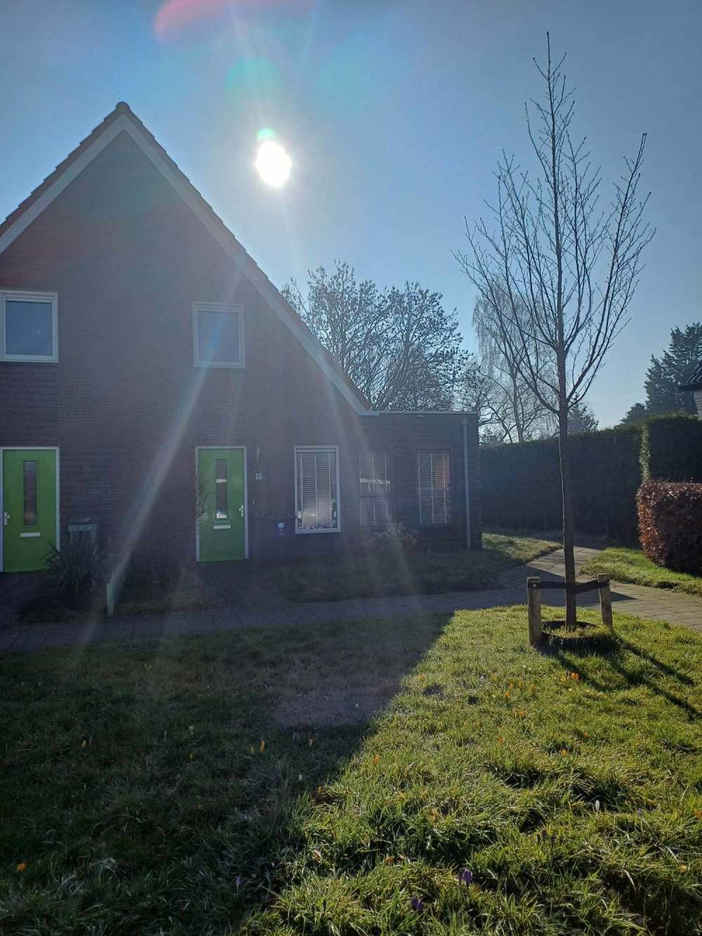 A.H. Homanstraat 17, 9791 BN Ten Boer, Nederland