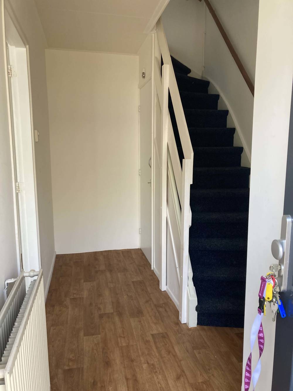 Willem Sijpesteijnstraat 11