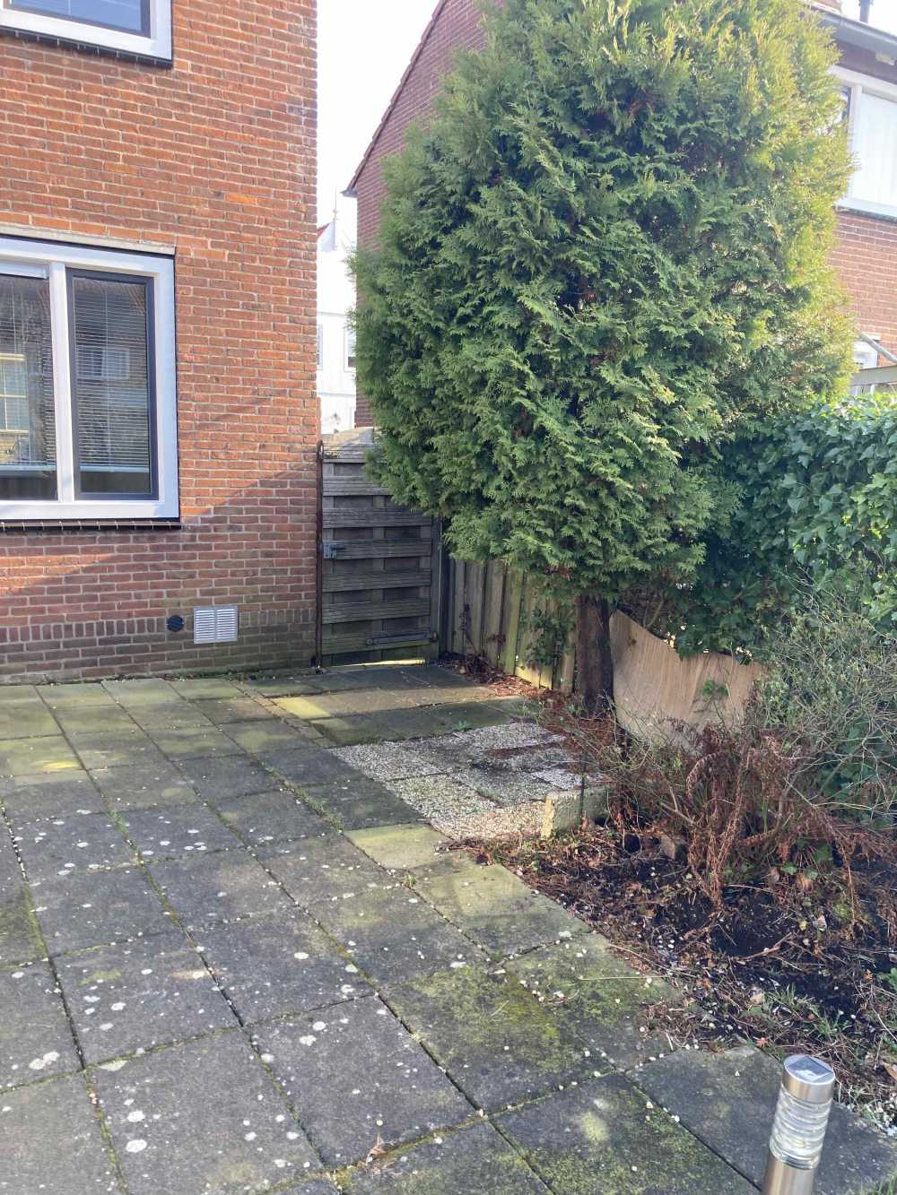 Willem Sijpesteijnstraat 11