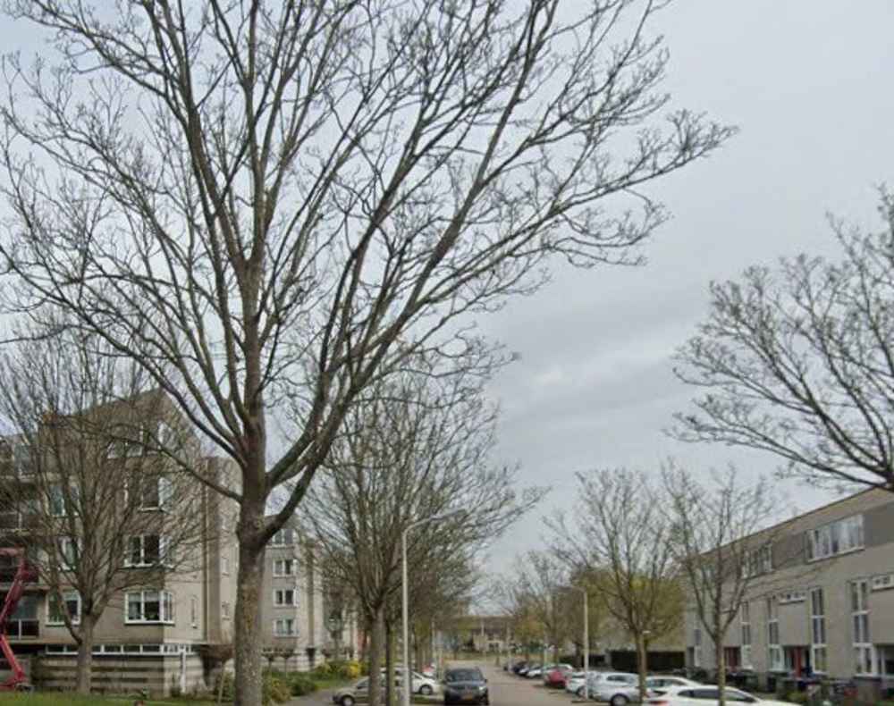 Langeweide 54