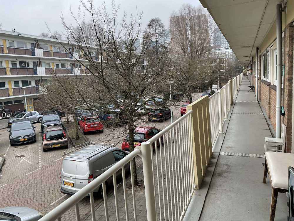 Oldengaarde 29