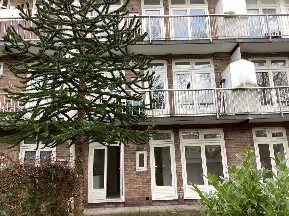 Uiterwaardenstraat 68II