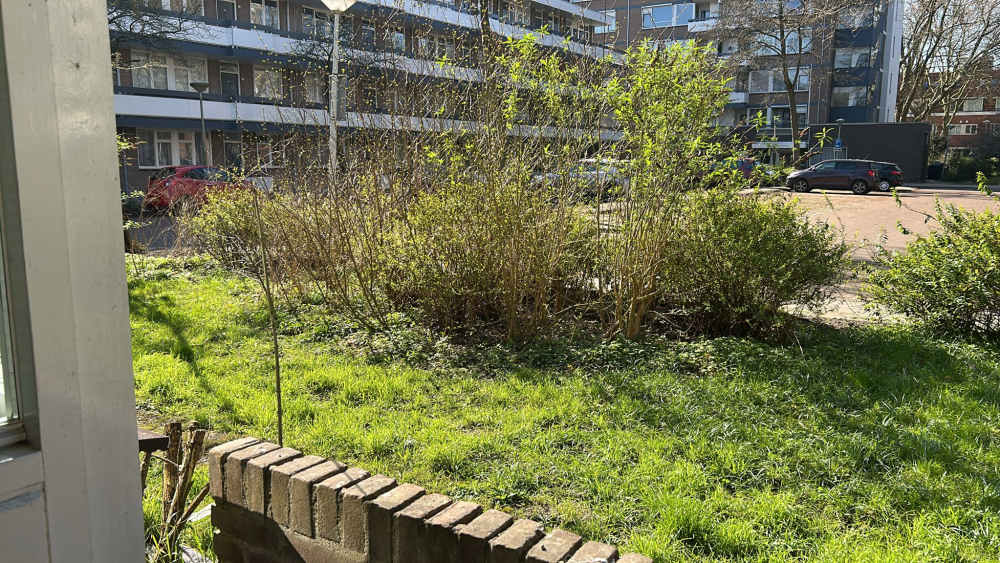 Van Nijenrodeweg 945