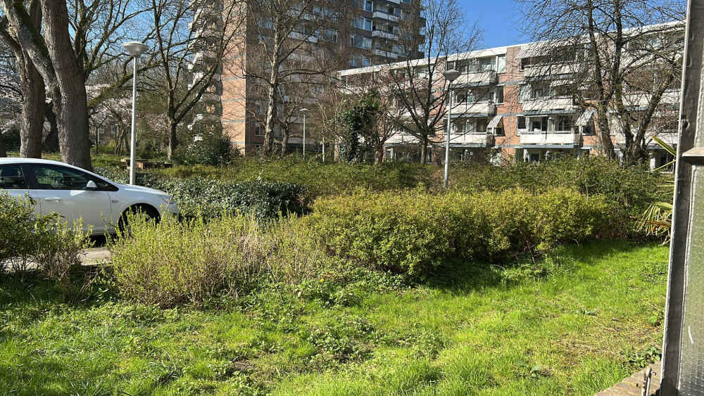 Van Nijenrodeweg 945