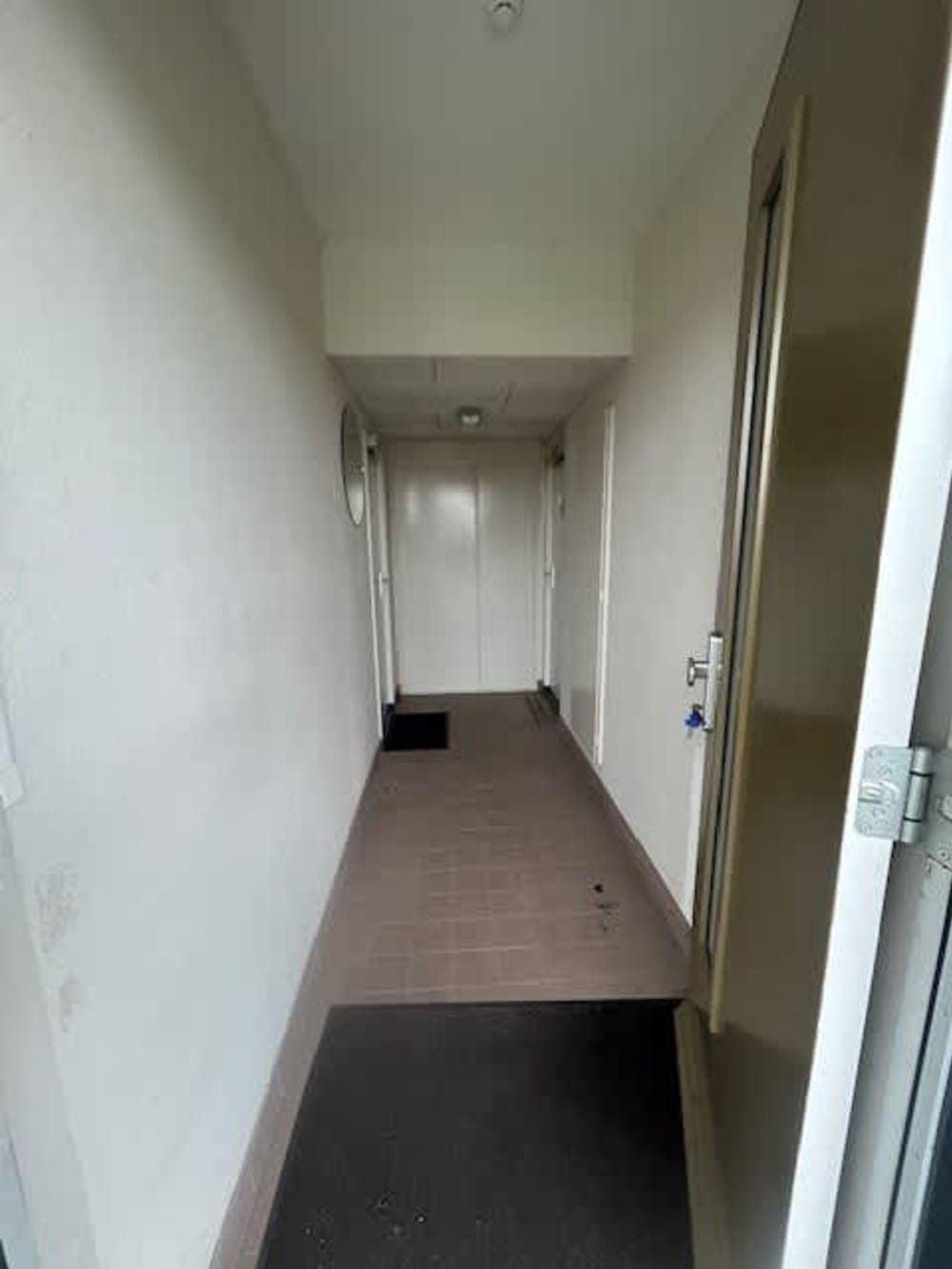 Graan voor Visch 19341