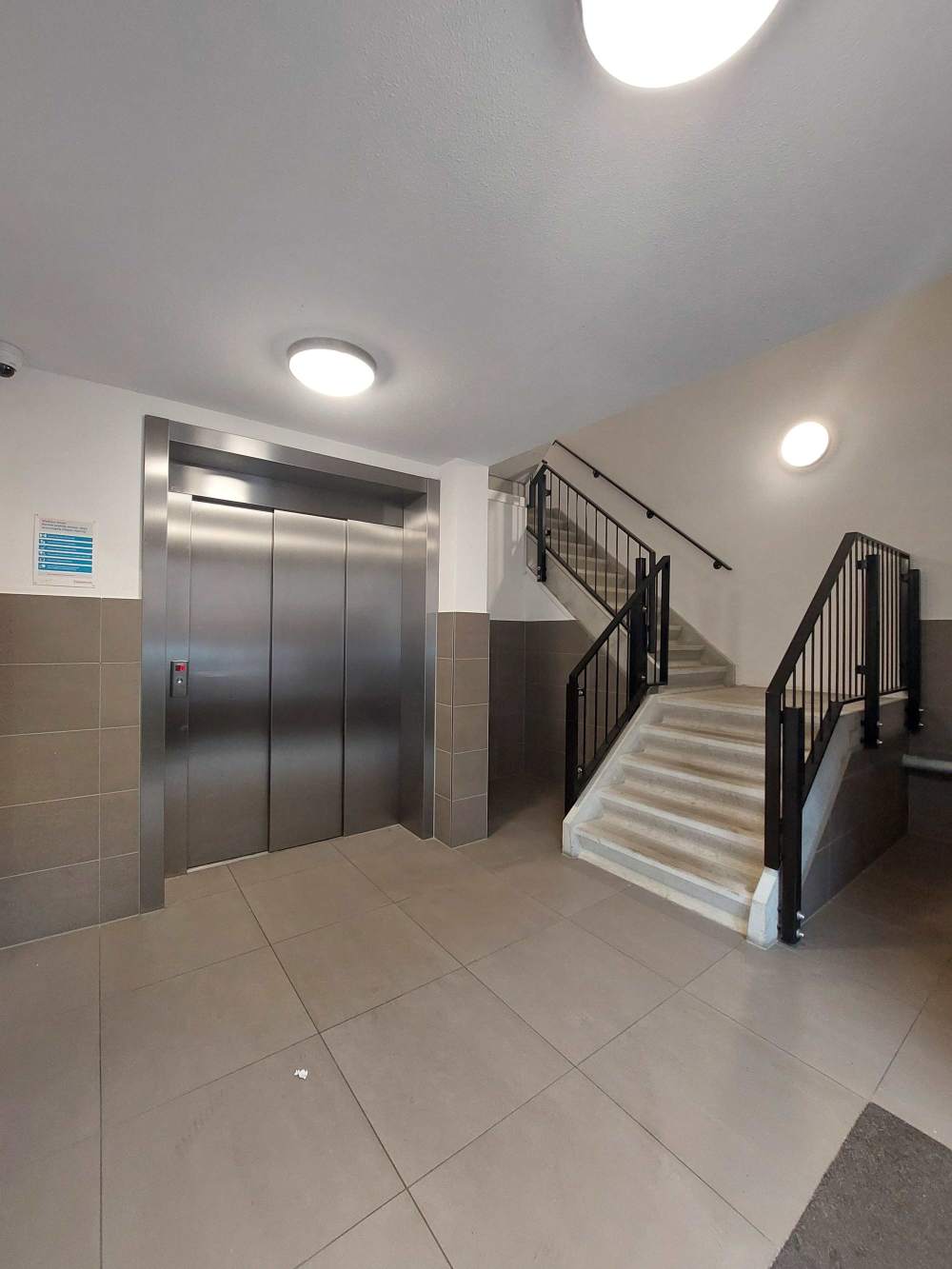 Zilverplevierstraat 53