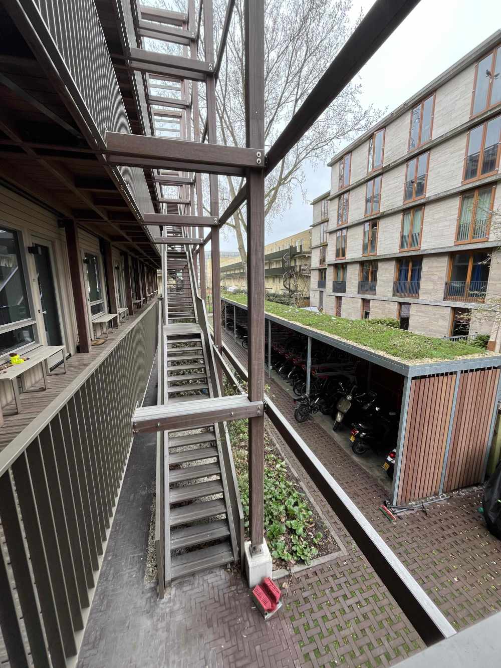 De Leeuw van Vlaanderenstraat 53