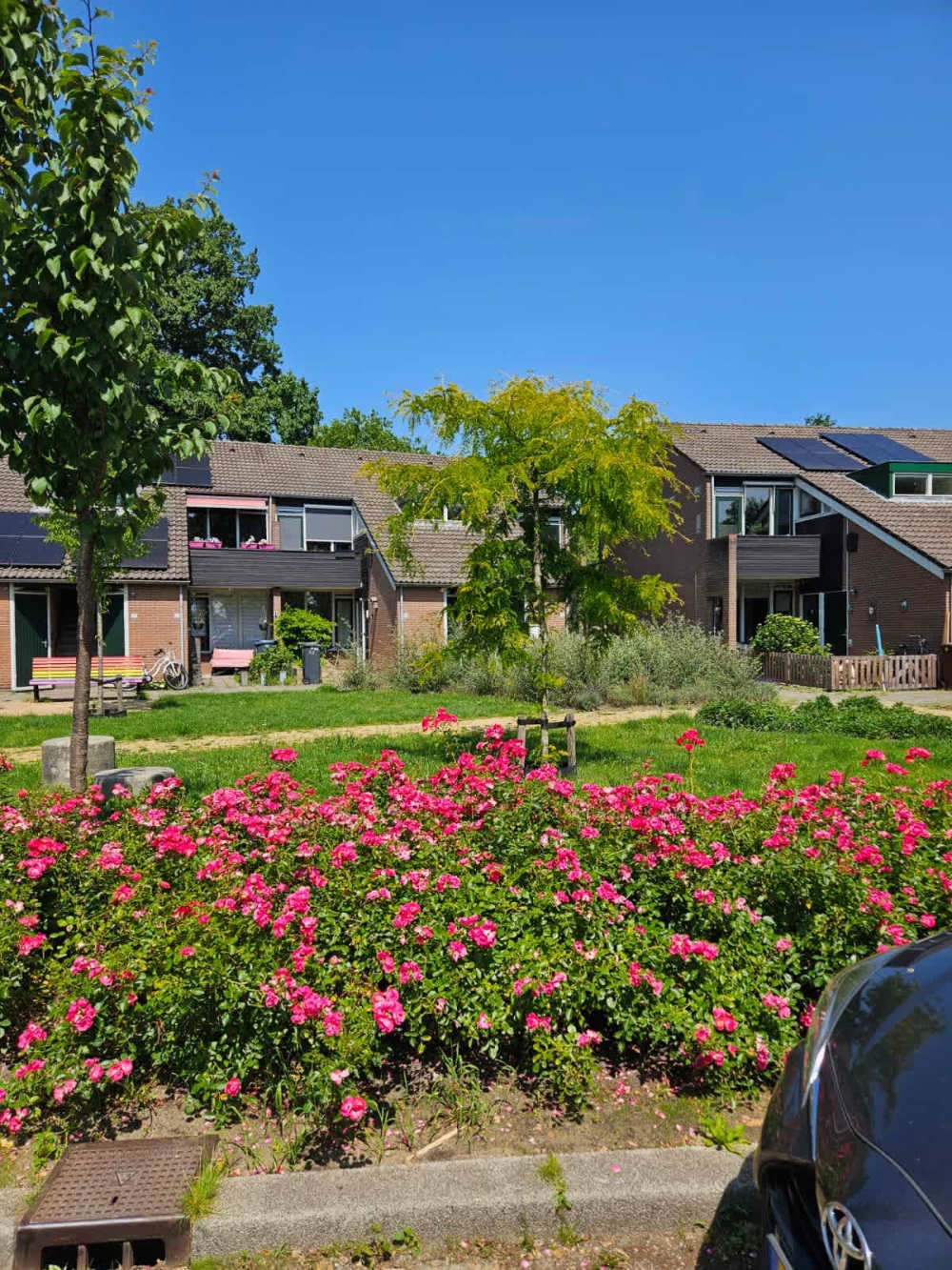 Bloemengaard 49, 3941 TB Doorn, Nederland