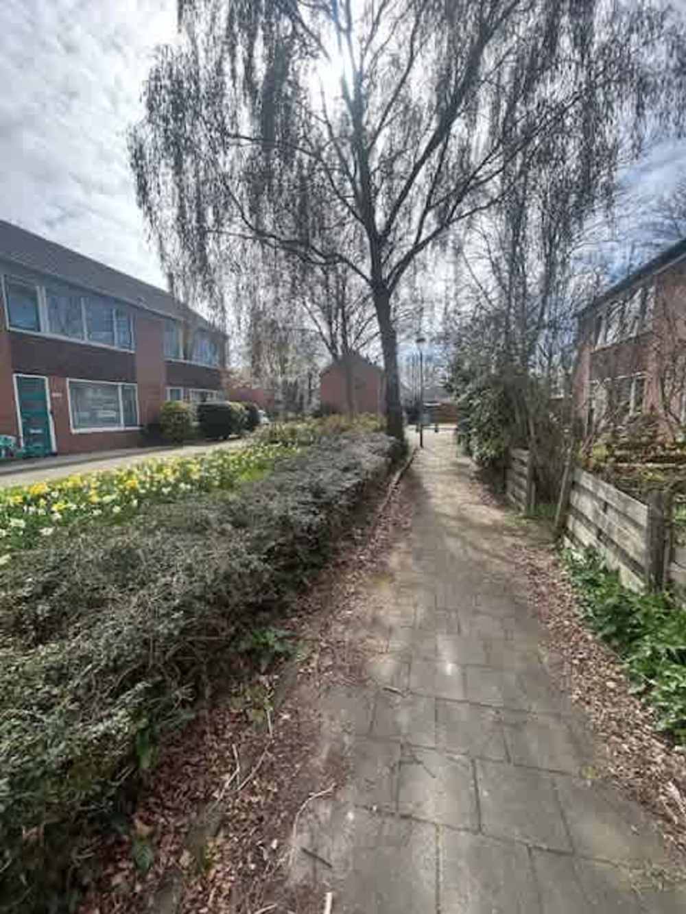 Graan voor Visch 16429