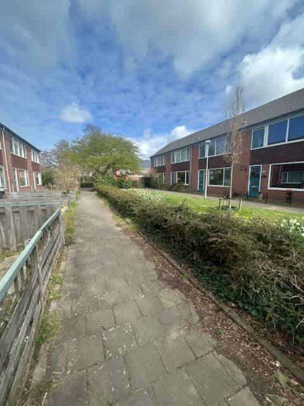 Graan voor Visch 16429