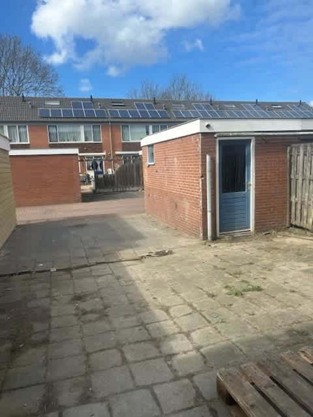 Graan voor Visch 16429