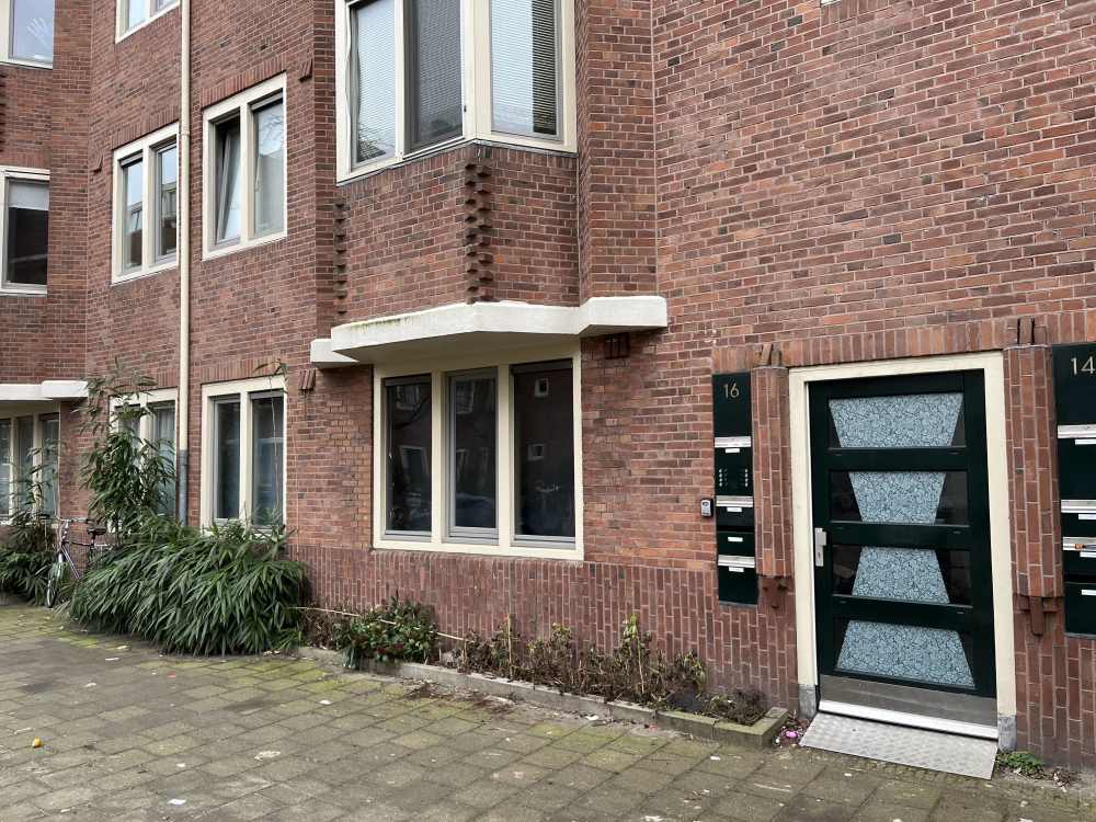 David Blesstraat 16