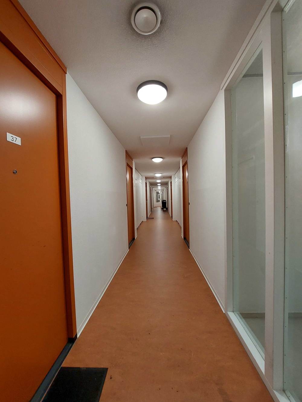 Zilverplevierstraat 45