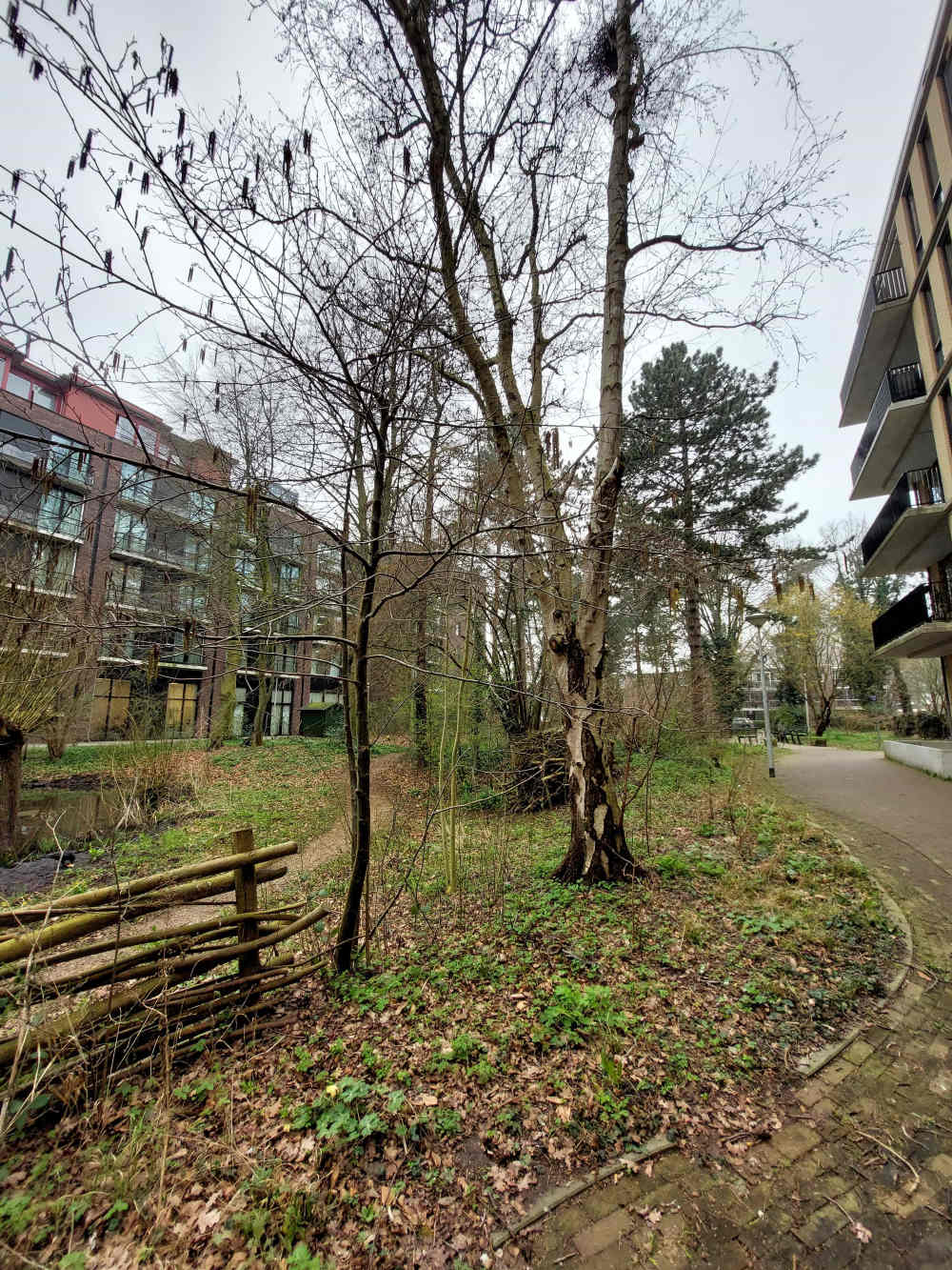 Noorderhaakspad 78