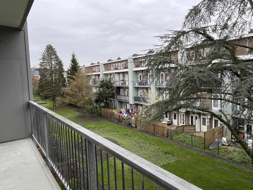 Maasstraat 203
