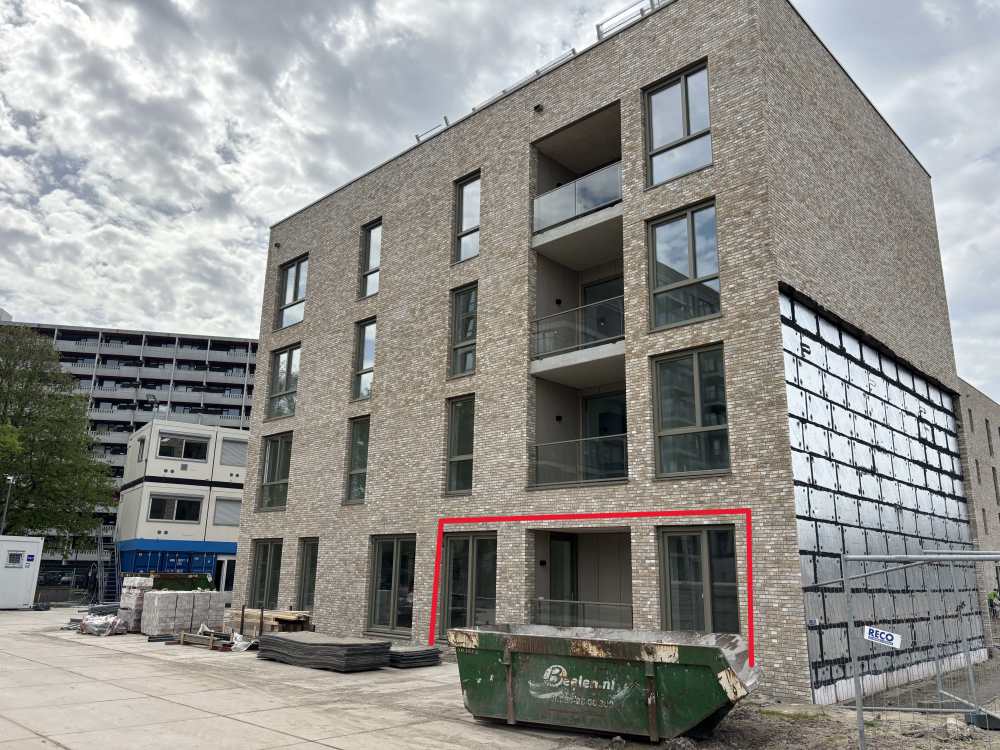 Egellelie 100, Amsterdam