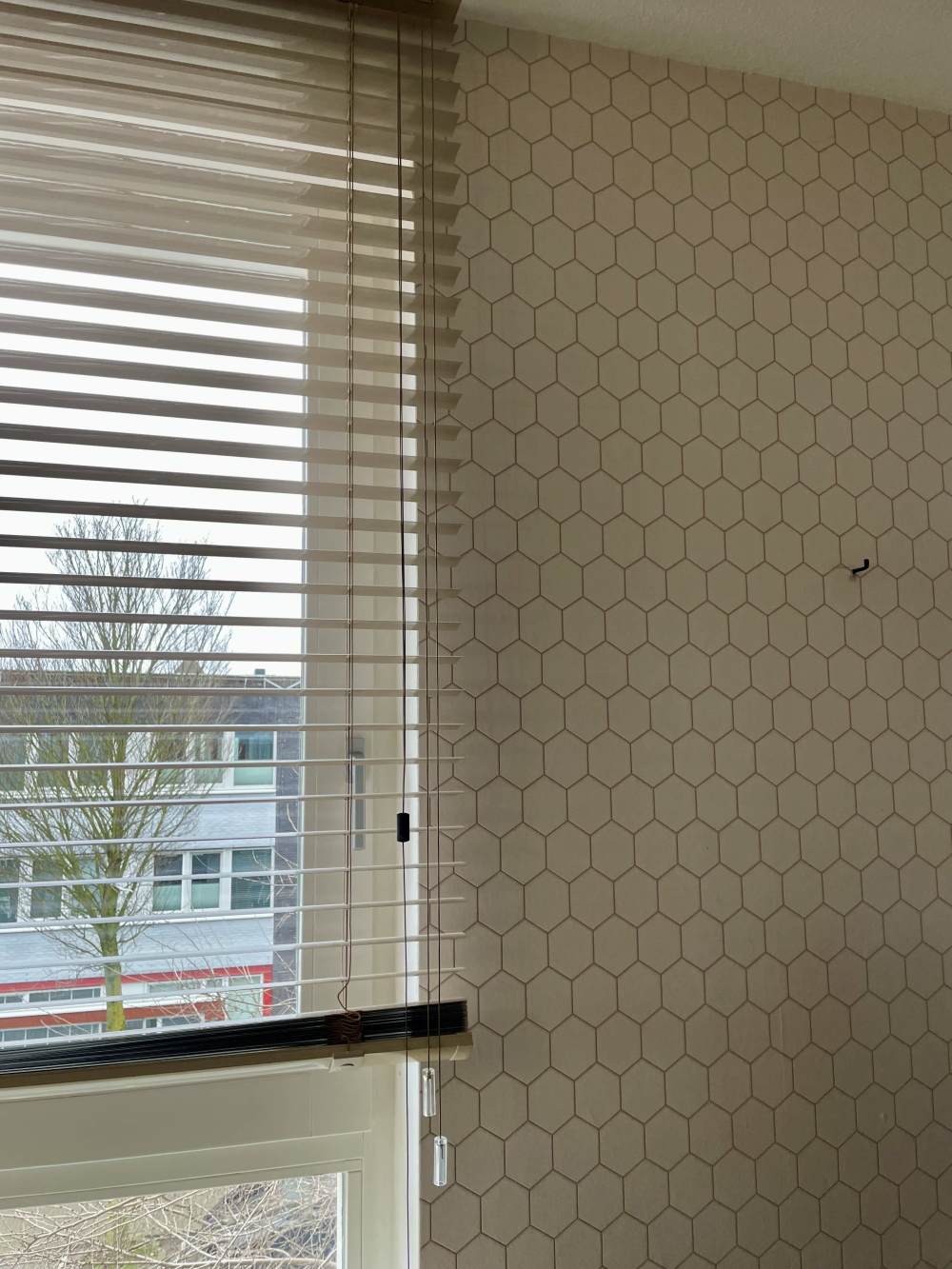 Erich Salomonstraat 87